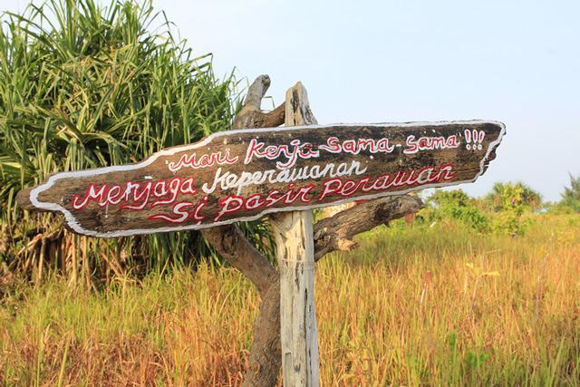 Pari Solata Seaview Homestay Syariah Kepulauan Seribu Buitenkant foto